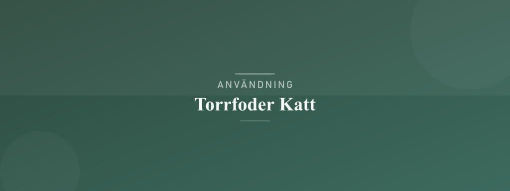 Användning torrfoder katt