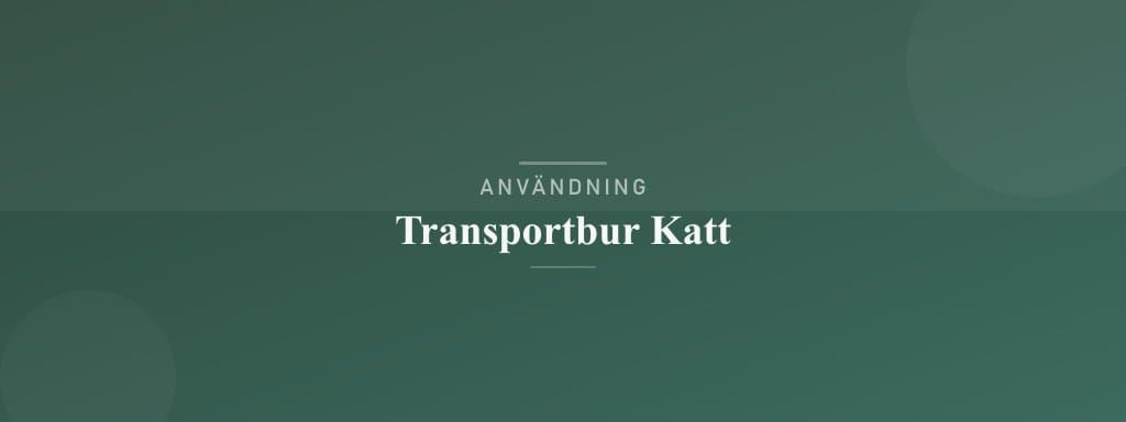 Användning transportbur katt