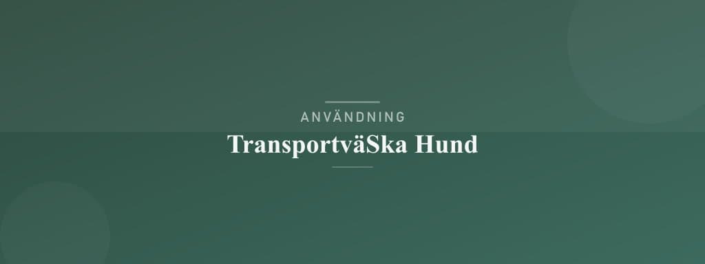 Användning transportväska hund