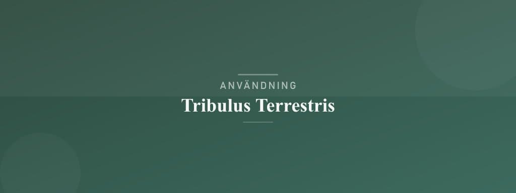 Användning tribulus terrestris