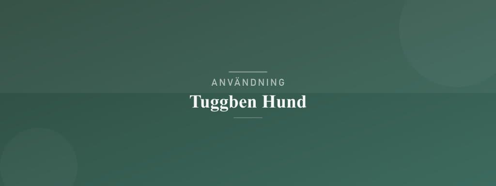 Användning tuggben hund