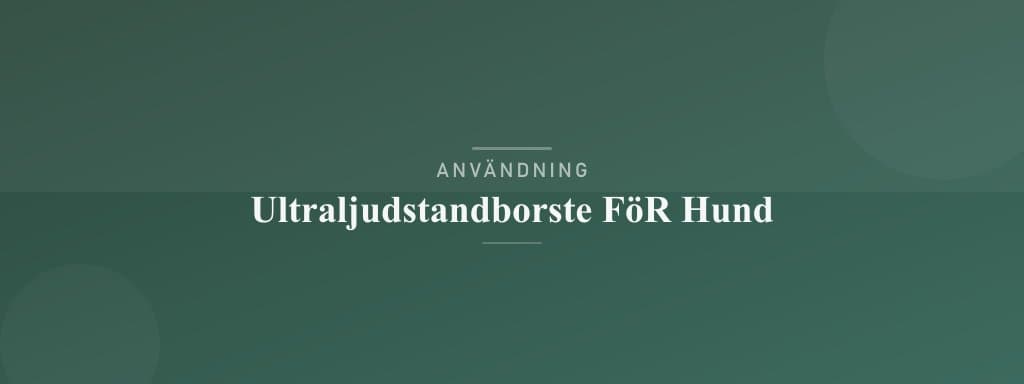 Användning ultraljudstandborste för hund