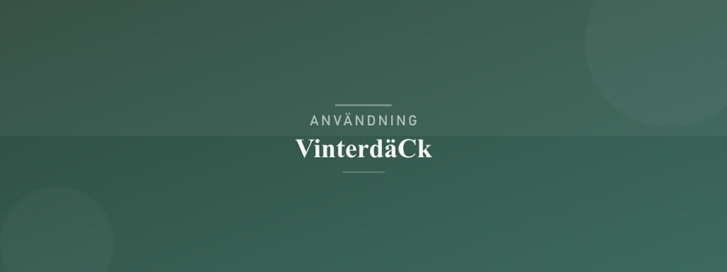 Användning vinterdäck
