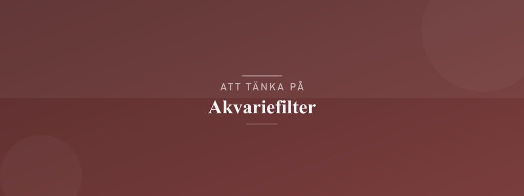 Vanliga misstag med akvariefilter