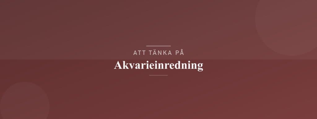 Vanliga misstag med akvarieinredning