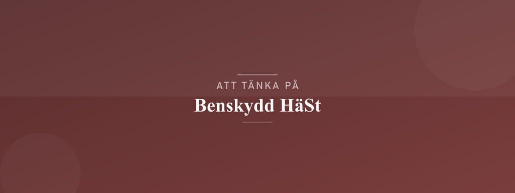 Vanliga misstag med benskydd häst