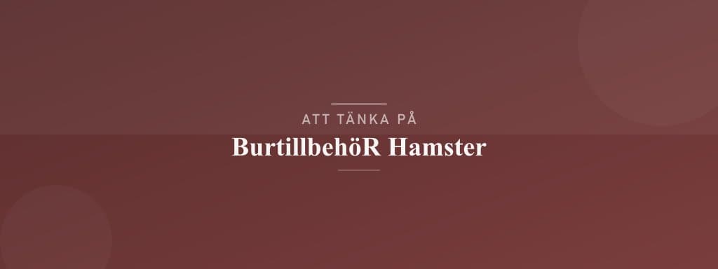 Vanliga misstag med burtillbehör hamster