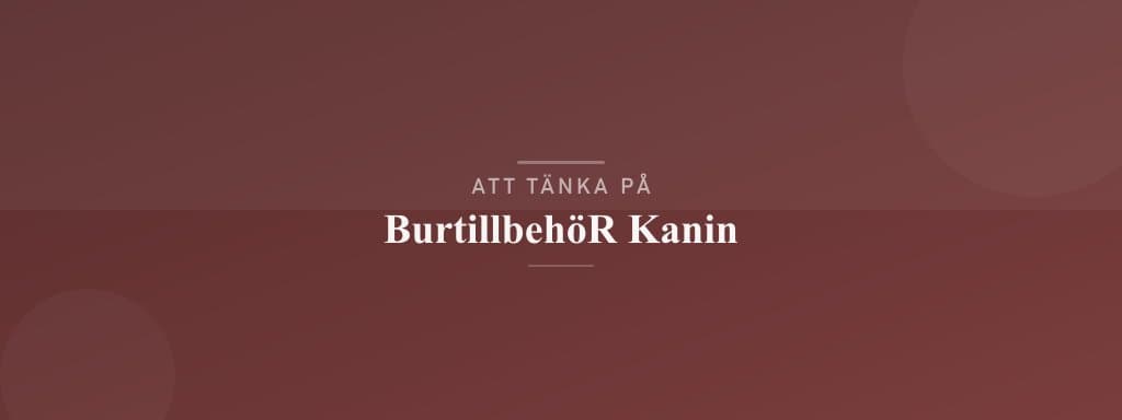 Vanliga misstag med burtillbehör kanin