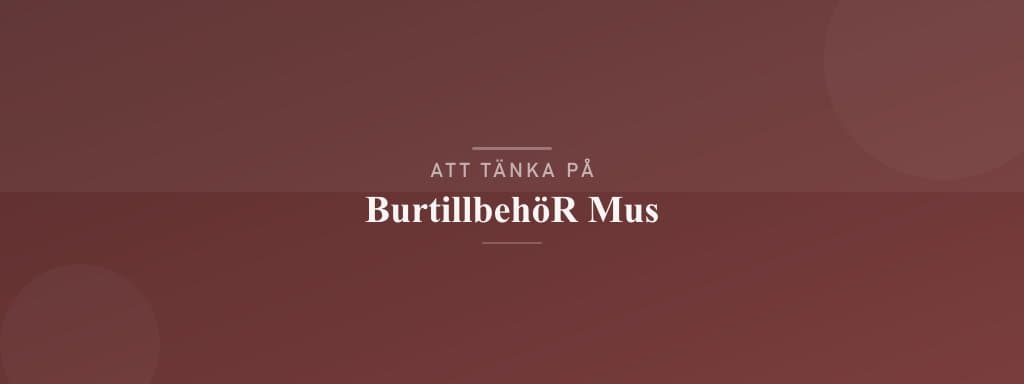 Vanliga misstag med burtillbehör mus