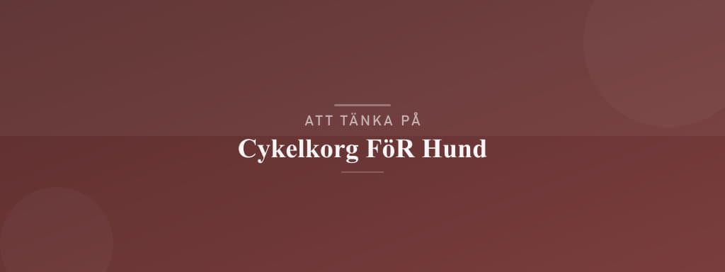 Vanliga misstag med cykelkorg för hund