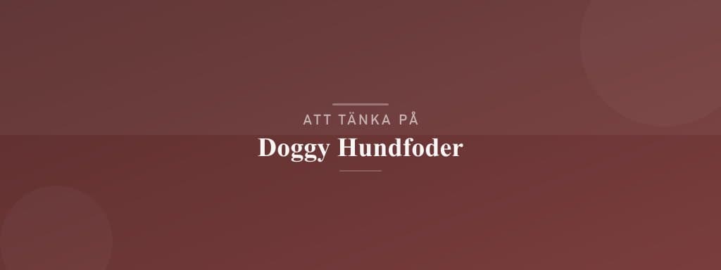 Vanliga misstag med doggy hundfoder