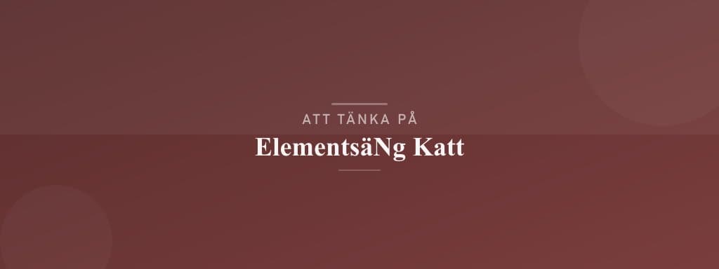 Vanliga misstag med elementsäng katt