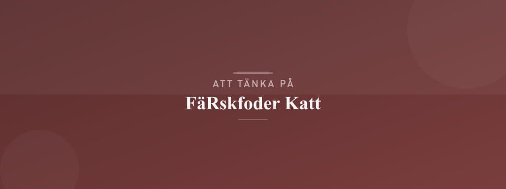 Vanliga misstag med färskfoder katt