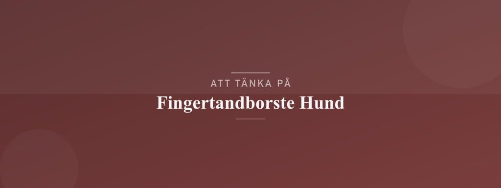 Vanliga misstag med fingertandborste hund