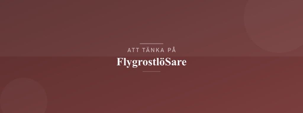 Vanliga misstag med flygrostlösare