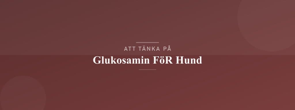 Vanliga misstag med glukosamin för hund