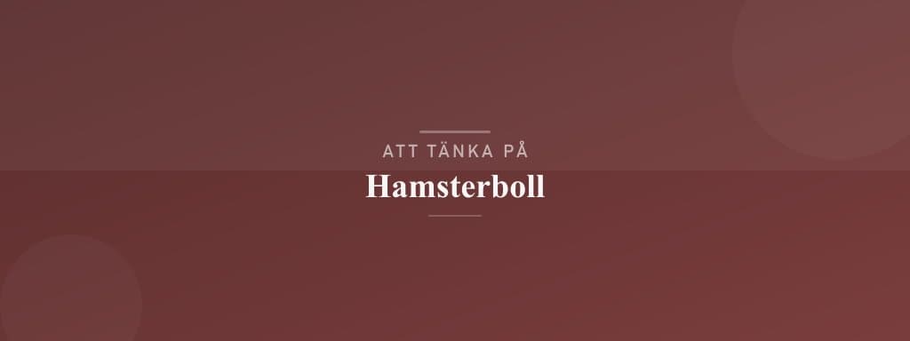 Vanliga misstag med hamsterboll