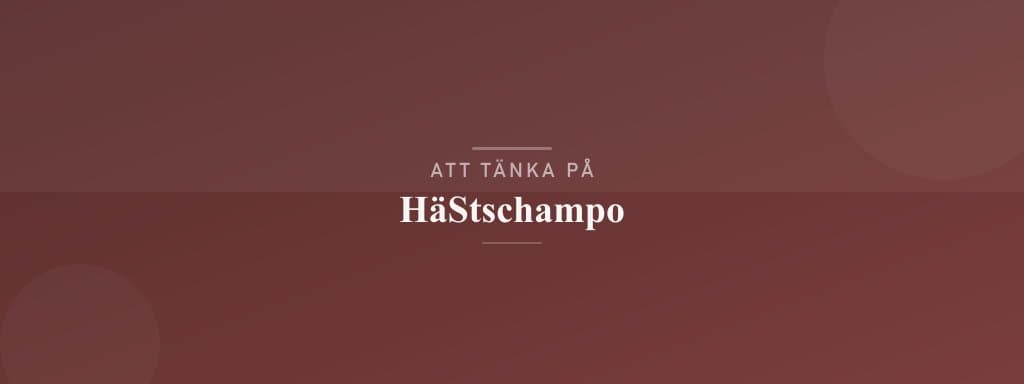 Vanliga misstag med hästschampo