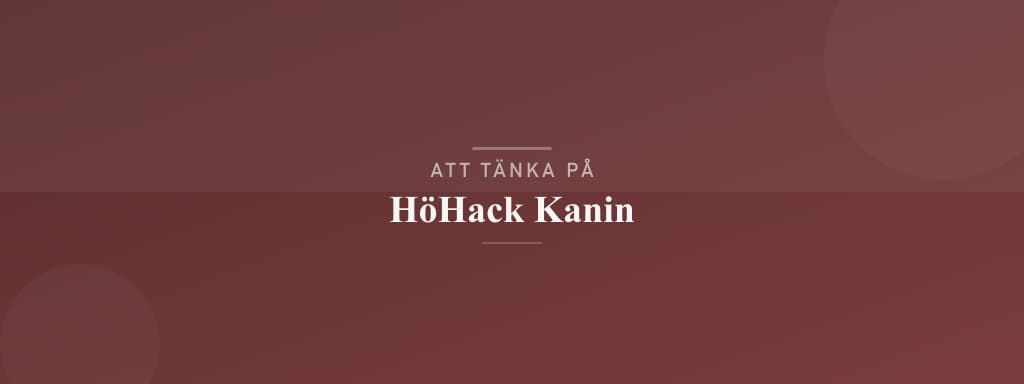 Vanliga misstag med höhack kanin