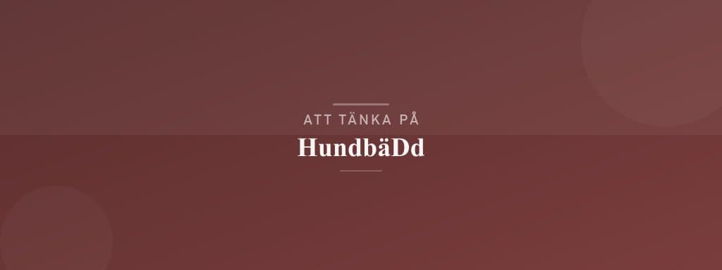 Vanliga misstag med hundbädd