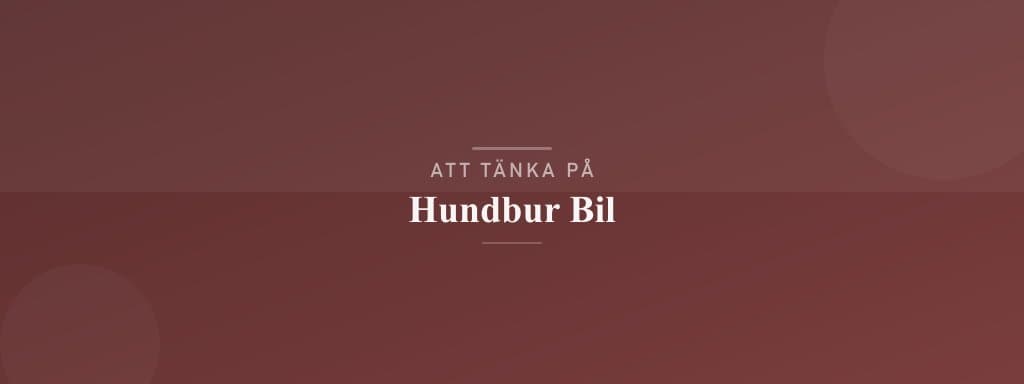 Vanliga misstag med hundbur bil