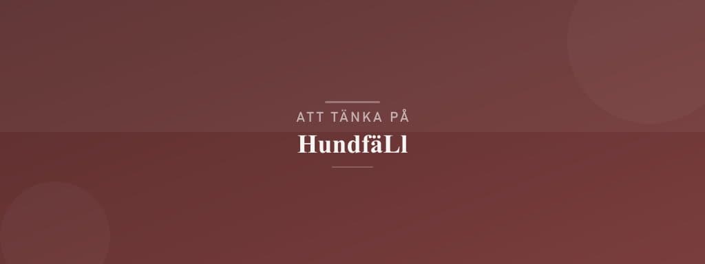 Vanliga misstag med hundfäll
