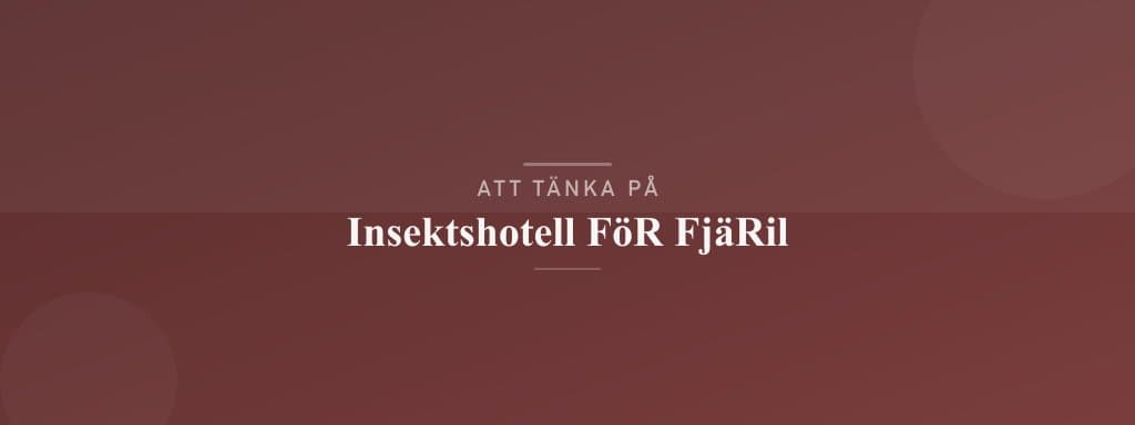 Vanliga misstag med insektshotell för fjäril