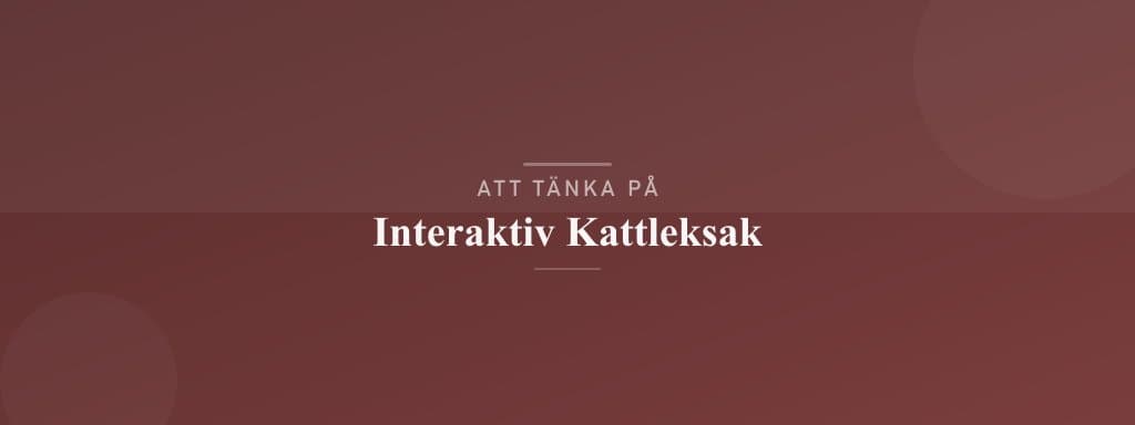 Vanliga misstag med interaktiv kattleksak