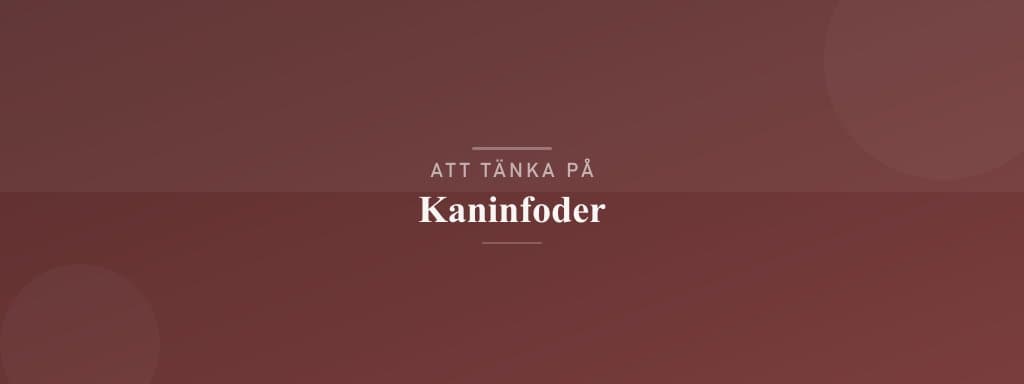 Vanliga misstag med kaninfoder