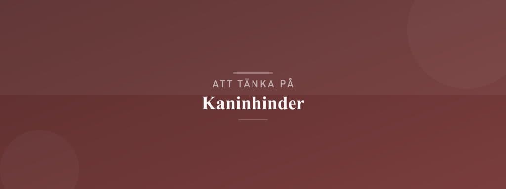 Vanliga misstag med kaninhinder