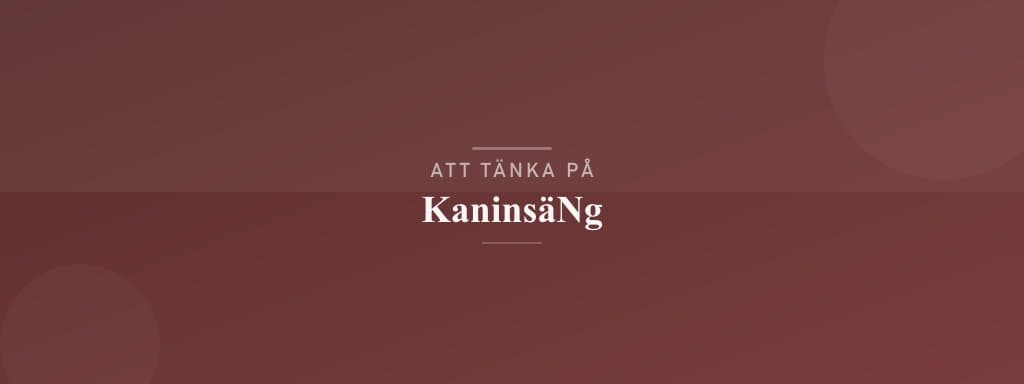 Vanliga misstag med kaninsäng