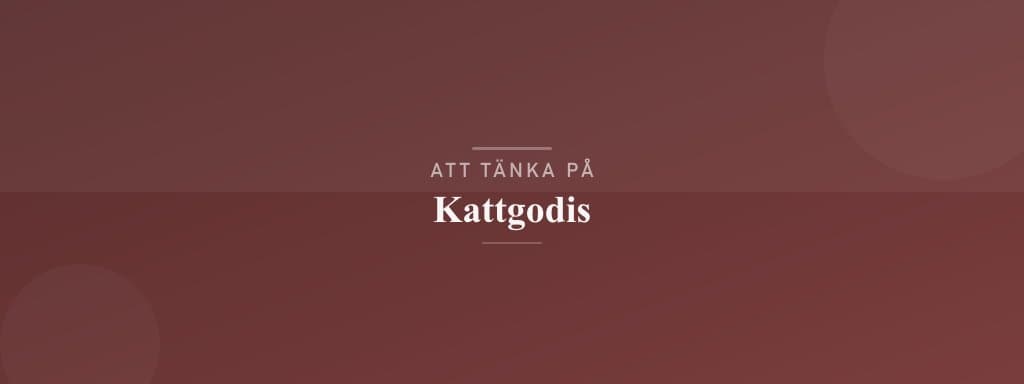 Vanliga misstag med kattgodis
