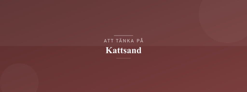 Vanliga misstag med kattsand