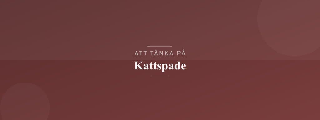 Vanliga misstag med kattspade