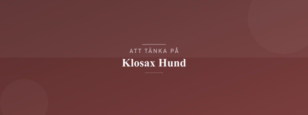Vanliga misstag med klosax hund