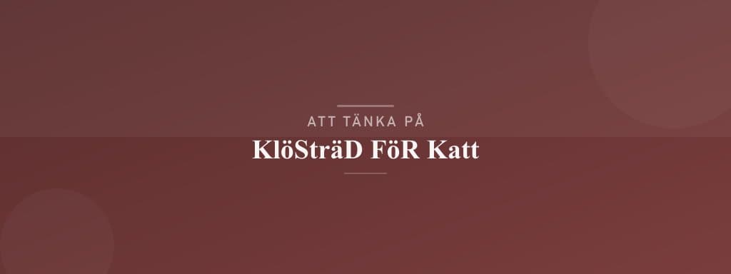 Vanliga misstag med klösträd för katt