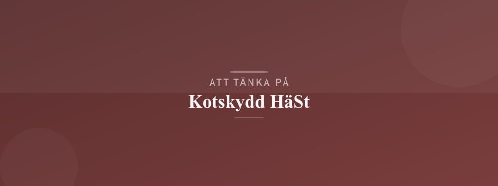 Vanliga misstag med kotskydd häst