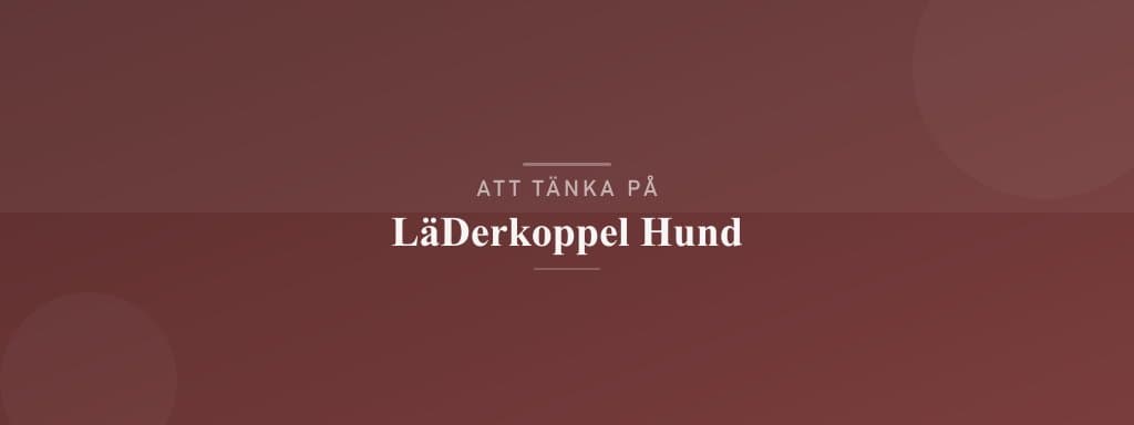 Vanliga misstag med läderkoppel hund