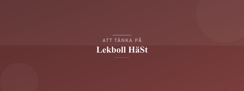 Vanliga misstag med lekboll häst