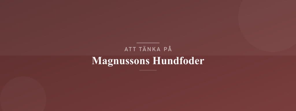 Vanliga misstag med magnussons hundfoder