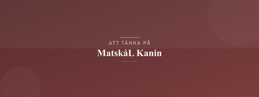 Vanliga misstag med matskål kanin