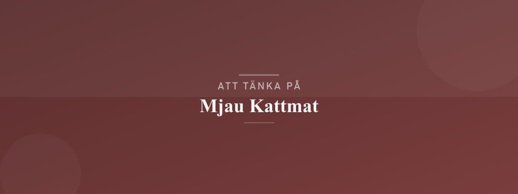 Vanliga misstag med mjau kattmat