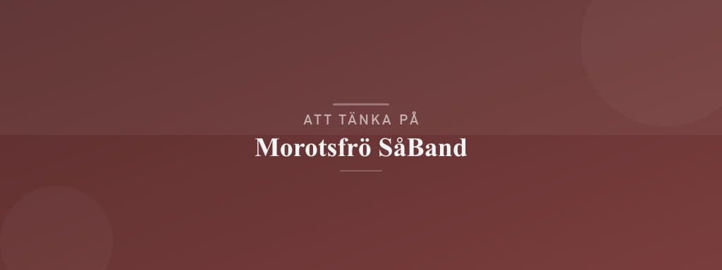 Vanliga misstag med morotsfrö såband