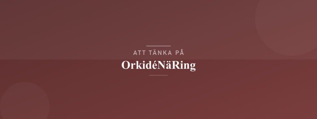 Vanliga misstag med orkidénäring