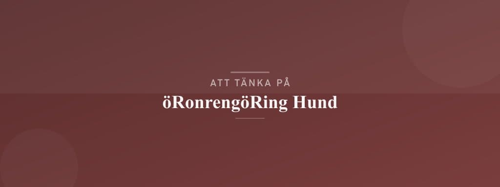 Vanliga misstag med öronrengöring hund