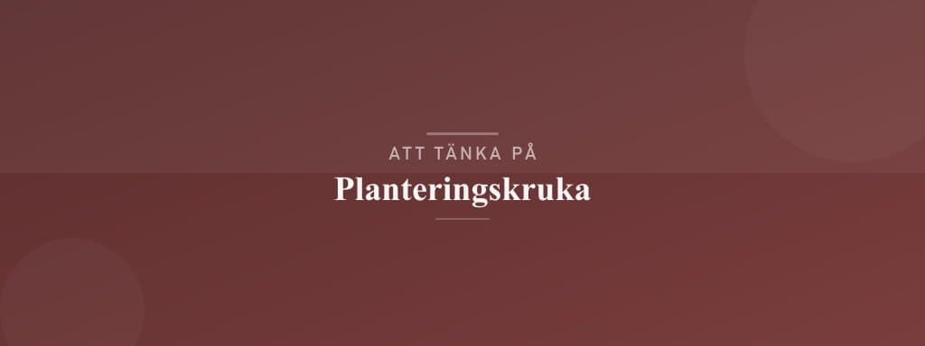 Vanliga misstag med planteringskruka