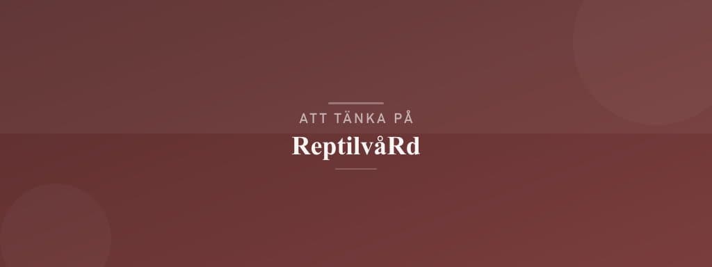 Vanliga misstag med reptilvård