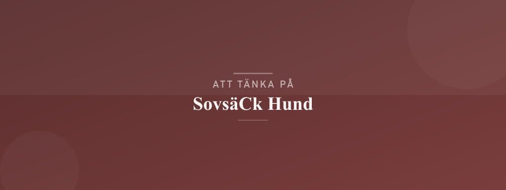 Vanliga misstag med sovsäck hund