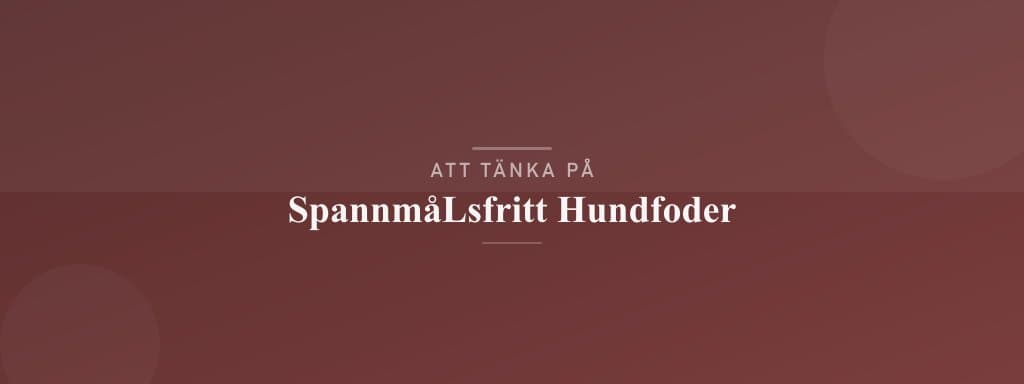 Vanliga misstag med spannmålsfritt hundfoder