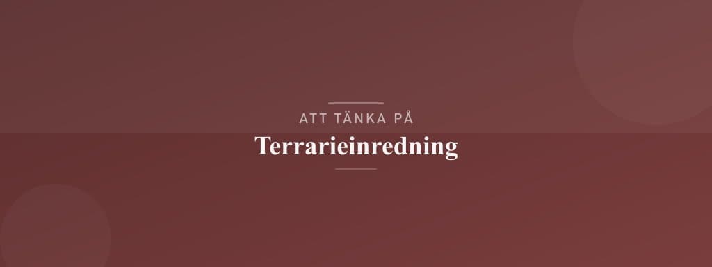 Vanliga misstag med terrarieinredning